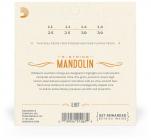 Galerijní obrázek č.1 Pro mandolíny D'ADDARIO EJ67