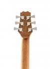 Galerijní obrázek č.7 Akustické sety PEAVEY Delta Woods DW-1 - Natural BTS SET