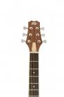 Galerijní obrázek č.6 Akustické sety PEAVEY Delta Woods DW-1 - Natural BTS SET