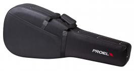 PROEL PFOAM20
