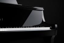 Galerijní obrázek č.6 Digitální piana KAWAI NV10 S