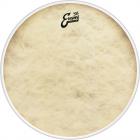 EVANS BD24CT ’56 Calftone 24” Bass