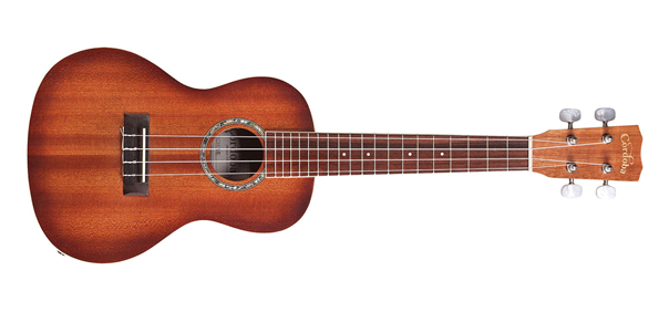 Dřevěné koncertní ukulele