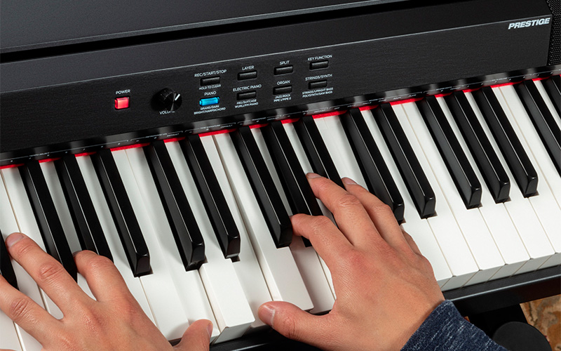 Digitální piano ALESIS PRESTIGE Detail klaviatury ALESIS PRESTIGE
